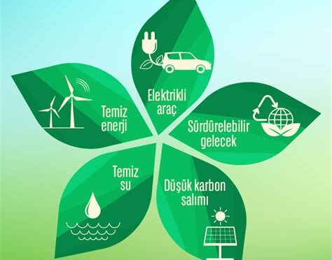 Portföy Çeşitlendirmesi: Sürdürülebilirlik Kriterleri ve Risk Azaltma Potansiyeli
